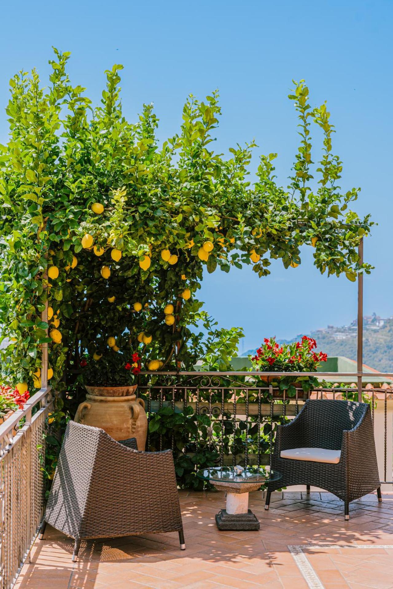 B&B Il Cortile Ravello Eksteriør billede